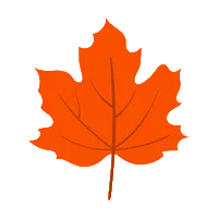 SEVEN LAYERS OF MAPLE